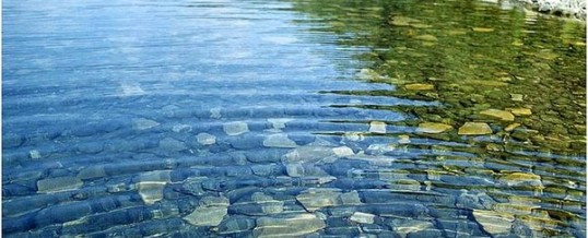 Роль воды в организме ребёнка